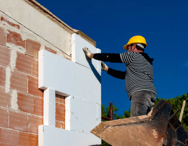 Best Insulation Inspection Services  in Darlington, SC