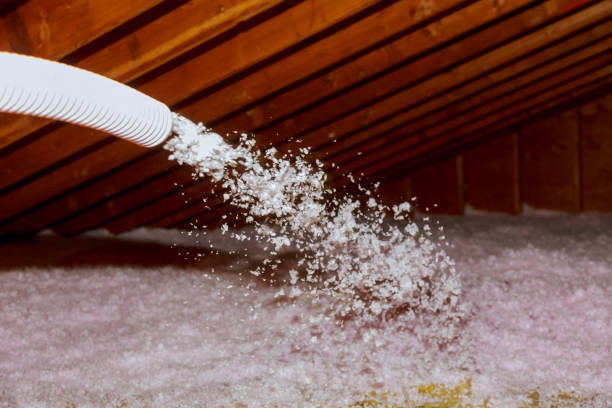 Insulation Inspection Services in Darlington, SC