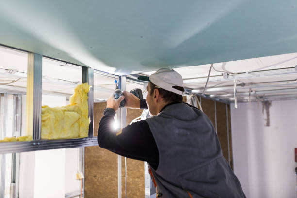 Insulation Contractors for Homes in Darlington, SC