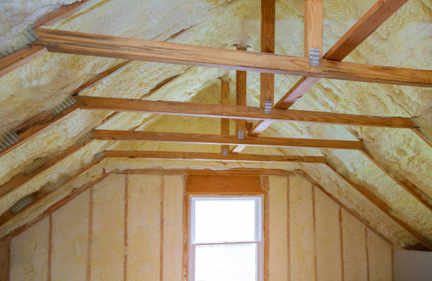 Best Professional Insulation Contractor  in Darlington, SC
