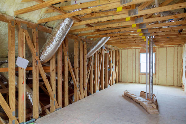 Best Blown-in Insulation  in Darlington, SC