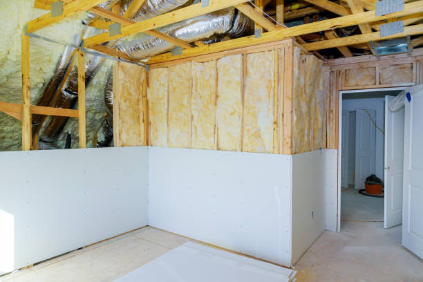 Best Local Insulation Services  in Darlington, SC