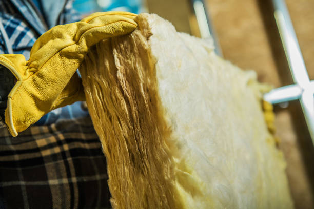 Best Insulation Inspection Services  in Darlington, SC