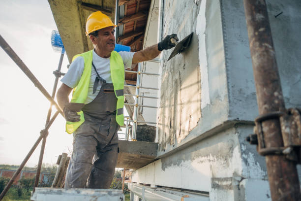 Best Insulation Removal  in Darlington, SC