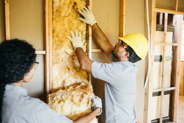 Best Spray Foam Insulation  in Darlington, SC