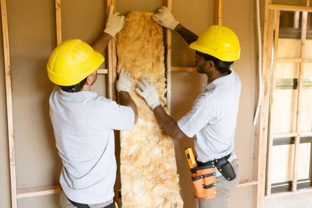 Best Insulation Replacement Services  in Darlington, SC