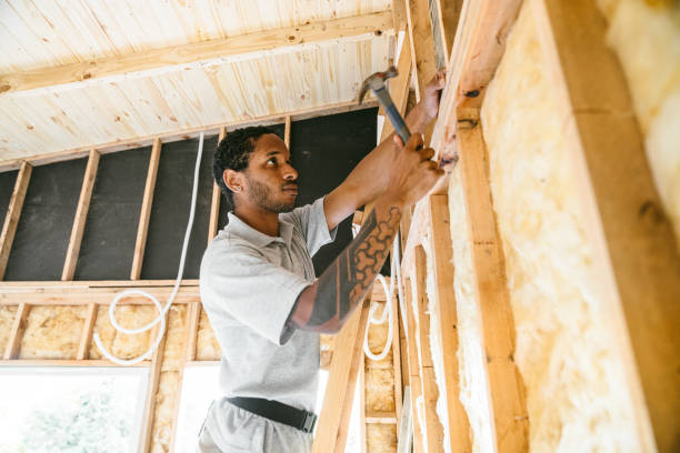 Best Wall Insulation Contractor  in Darlington, SC