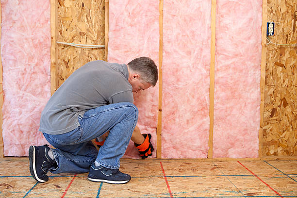 Best Wall Insulation Contractor  in Darlington, SC