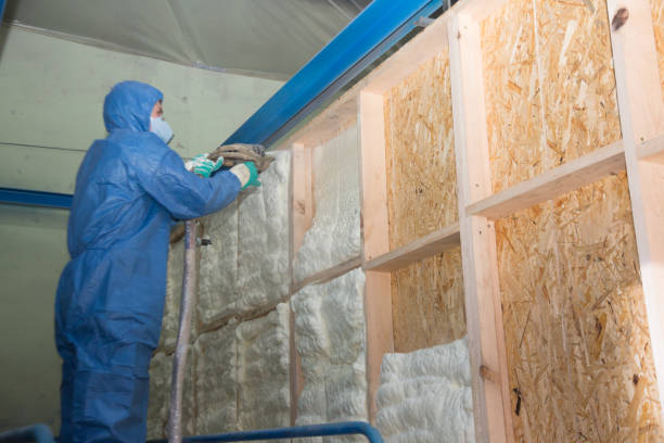 Best Home Insulation Services  in Darlington, SC