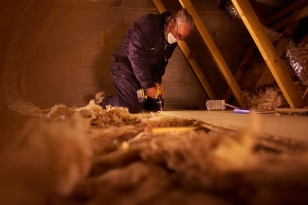 Best Cellulose Insulation  in Darlington, SC